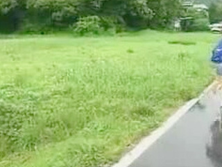 Sexual Dairy Farm: Woman Taken by Surprise in Nippon's XXX Thai Porn